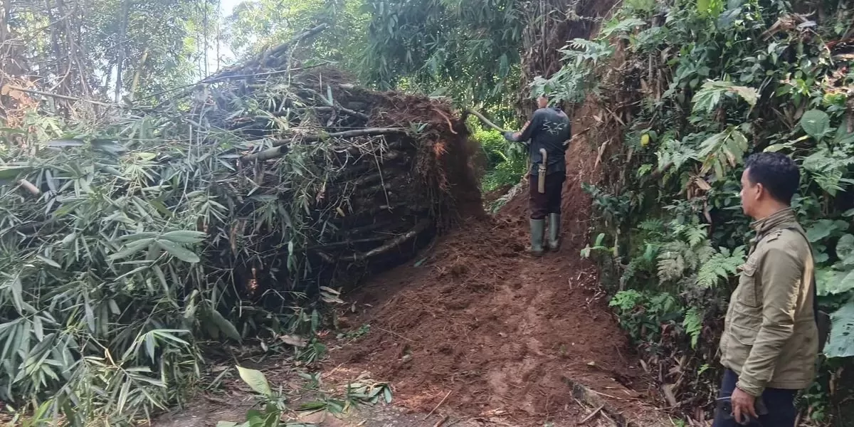 Saat cuaca ekstrem hujan deras, tebing setinggi tujuh meter di Sukalarang, Kabupaten Sukabumi alami longsor. Satu rumah warga rusak berat (IST)