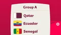 Jadwal Pertandingan Grup A Piala Dunia 2022, Qatar Vs Ekuador Jadi Laga Pembuka 