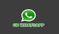 GB WhatsApp Apk 13.50 Download Update Agustus 2022 Simak 2 Link Terbaru, Bisa Unduh Story Orang Lain