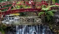 Rekomendasi Destinasi Wisata 'Umbulan Tanaka' di Gunung Kawi Malang, Kesegaran Tengah Sungai Bernuansa Jepang