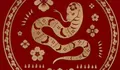  Peruntungan Shio Ular besok Rabu 25 Juni 2025, saat terbaik untuk melakukan transaksi keuangan penting