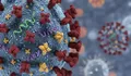 Waspada dengan Superflu, Kenali Penyebab dan Gejalanya yang Lebih Berat dari Influenza Biasa