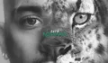 Lirik Lagu Die For Me, Zayn Malik, Single Terbaru Sebelum Album Rilis