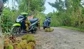 Kabupaten Aceh Barat Daya Panen Raya durian, Satu buah Rp8 s.d 15 Ribu
