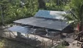 Dukung Penggunaan Green Energy, Inalum Gunakan Pembangkit Listrik Tenaga Surya di Perikanan Darat