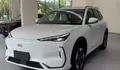 WAJIB TAU! Inilah Fitur Canggih Geely EX5 EV 2025 yang Bikin Mobil Listrik Lain Terlihat Ketinggalan Zaman!