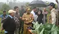 TSTH2 Humbahas Jadi Pusat Riset Herbal Hortikultura Terdepan di Indonesia, Ketua DEN Luhut Tegaskan Hal ini