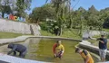 Bersama Petugas, UPT Pariwisata Turun Langsung Bersihkan Kolam ODTW Pincara Masamba