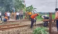 PT KAI Daop 5 Purwokerto Tutup Perlintasan Sebidang untuk Normalisasi Jalur dan Meningkatkan Keselamatan Perjalanan KA