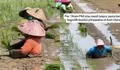 Sawah Tertimbun Lumpur Pascabanjir Aceh, Petani Aceh Utara Tetap Tanam Padi di Tengah Endapan Tebal