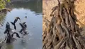 Penangkapan ikan sapu-sapu di Jakarta jadi sorotan, ini dampaknya
