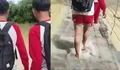 Viral Perjuangan Pelajar Lampung Tengah Berangkat Sekolah Terjang Banjir, Lewati Jembatan Kayu Nyaris Ambruk