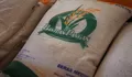 Bansos Beras 10 Kilogram Hari Ini Cair di Wilayah Banten dan Brebes, Cek Segera Jadwal Pencairan Wilayahmu