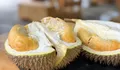 Tempat Makan Durian Terbesar di Puncak Bogor! Metik Langsung Duren Premium dan Makan di Tempat!
