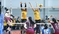 Popsivo Polwan Kian Dekat ke Final Four Proliga 2026, BJB Tandamata Gugur di Seri Bogor
