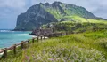 Cerita Tentang Pulau Jeju di Korea Selatan 
