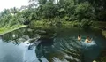 Berenang di Wisata Mata Air Cihunjuran Pandeglang Banyak Peninggalan Zaman Megalitikum