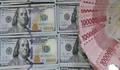 Dampak dari Melemahnya Nilai Tukar Rupiah Terhadap Dollar Amerika Serikat 