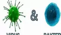 Bakteri dan Virus Apa Perbedaannya dan Mana Yang Lebih Mematikan ?