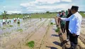 Optimis Bisa Sampai Swasembada, Gubernur Andra Soni Berharap Provinsi Banten Masuk 8 Besar Produksi Padi Nasional