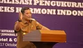 Rencana Pemekaran Sulsel, Bugis Timur Dijadikan Provinsi Pisang Hingga Pj Gubernur Gaet Arab Saudi
