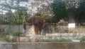 Semarang Zoo salah satu destinasi wisata yang layak dikunjungi di Ibukota Jawa Tengah