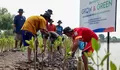 BRI Pertegas Komitmen Selamatkan Lingkungan Lewat Perbaikan Ekosistem Pesisir Saat Peringati Hari Mangrove Sedunia