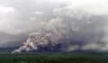 Erupsi Beruntun Gunung Semeru Picu Kenaikan Status Jadi Level IV Awas, Warga Diminta Menjauhi Besuk Kobokan