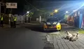 Tiga kambing berkeliaran di jalan, polisi Sleman giring kembali ke kandang
