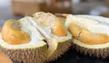 Rahasia Tersembunyi Durian: Mengungkap 5 Efek Samping yang Jarang Diketahui