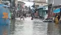 Jakarta Banjir Lagi! Puluhan RT Terendam, Jalan Utama Macet Total Akibat Genangan Air 50 Cm