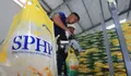 Beras Rp6.000 Disulap Jadi Rp13.000! Modus Busuk Ini Bikin Warga Miskin Gigit Jari, Siapa Dalang Di Balik Oplosan SPHP Ini?
