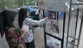 Hijau dari Lorong Patangpuluhan, Cara Unik Muhammadiyah Gerakkan Warga Menyelamatkan Bumi