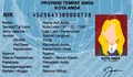 Daftar 99 Pekerjaan yang Boleh Dicantumkan di KTP, Tanpa Pewaris Keluarga Zhang 