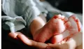 Viral Penggerebekan Rumah Bidan di Pakem Sleman, Terungkap jadi Tempat Penitipan 11 Bayi Tanpa Izin Operasional