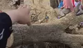 Tumpukan Kayu Gelondongan Jadi Akses Darurat Relawan Salurkan Bantuan ke Warga Terdampak Banjir Aceh