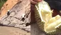 Terisolir Pascabencana, Warga Linge Aceh Tengah Tempuh Medan Sungai dan Tebing Demi Jual Durian ke Kota
