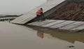 Banjir Parah Rendam Telukjambe Karawang, Rumah Panggung KDM hingga Sekolah Terendam Lebih 3 Meter