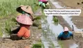 Meski Sawah Terendam Lumpur Tebal, Petani Aceh Utara Tak Menyerah Lanjutkan Tanam Padi