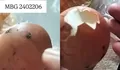 Viral Telur Rebus MBG Diduga Masih Kotor di Kabupaten Magetan, Publik Soroti Pengawasan Dapur Penyedia