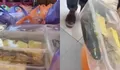 SMAN 2 Pamekasan Kembalikan 1.022 Porsi MBG dari SPPG As-Salman, Sekolah Soroti Menu Lele Dinilai Masih Mentah