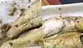 Temuan Belatung pada Menu Ikan Bandeng MBG di SDN Rong Tengah 2 Sampang Jadi Sorotan Publik