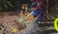 Sadis! Ibu di Lahat Tewas Dimutilasi, Pelaku Ternyata Anak Kandung Sendiri