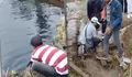 Viral Sinkhole di Sumatera Barat, Air dari Lubang Ambles di Nagari Situjuah Picu Perdebatan Warga
