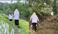 Perjuangan Guru Padang Pariaman Viral, Guru SMPN 3 Kayu Tanam Terobos Sawah dan Bukit demi Temui Siswa