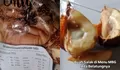 Viral MBG Pekalongan, Buah Salak Berbelatung di SDN 1 Kepatihan, BGN Pekalongan Langsung Ambil Tindakan