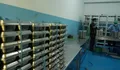 Viral SPPG Lembursitu Sukabumi dan Program MBG Disorot, Eks Akuntan Bongkar Dugaan Mark Up Pengadaan Pangan