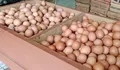 Harga Telur Melonjak di Kota Tasikmalaya, Warga Berburu Telur Pecah di Pasar Cikurubuk Jelang Lebaran