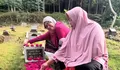 Megawati Hangestri Ziarah di Lebaran 2026 Jelang Final Four Proliga 2026, Momen Haru Jadi Sorotan