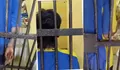 Tahanan Bantul Menangis Tanpa Kunjungan Keluarga, Polisi Hadir Bawa Kue Lebaran di Balik Jeruji, Viral! 